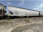 CPCX 814274